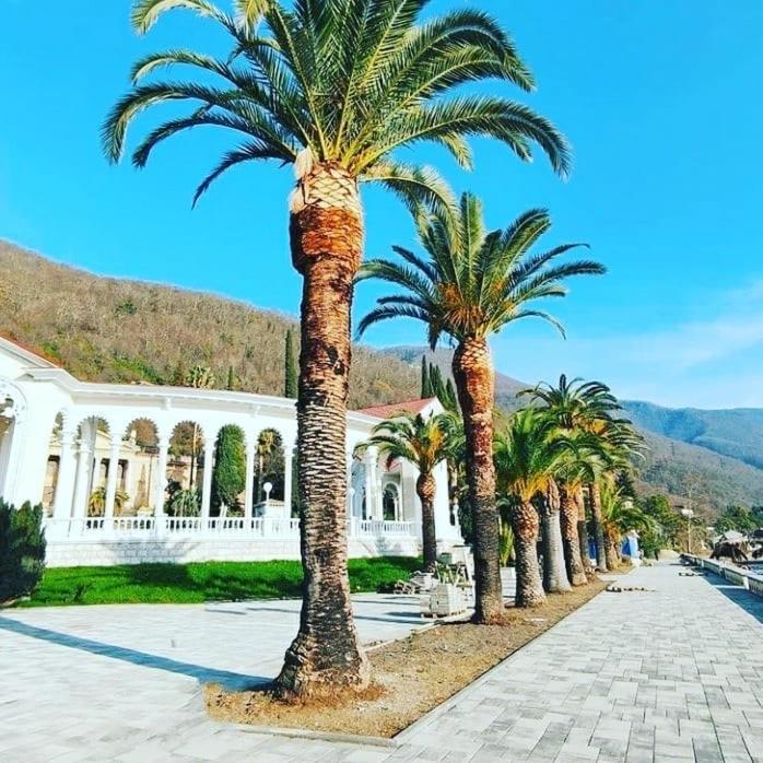 Гостевой Дом « Олимп» Hotel Alakhadze Luaran gambar